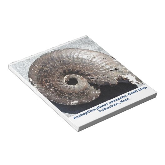 Bloc-note Beau fossile de pyrite ammonite montrant sutures (Incliné)