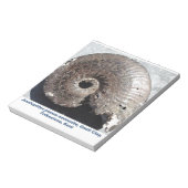 Bloc-note Beau fossile de pyrite ammonite montrant sutures (Tourné)