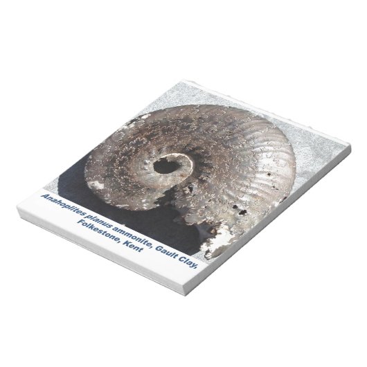 Bloc-note Beau fossile de pyrite ammonite montrant sutures (Tourné)