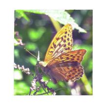 Beau papillon orange et noir tacheté