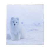 Bloc-note Beau renard arctique (Devant)