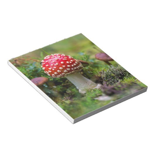 Bloc-note Beauté d'automne (Incliné)