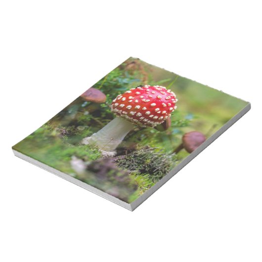 Bloc-note Beauté d'automne (Tourné)