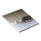 Bloc-note Beautés dormantes (Incliné)