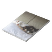 Bloc-note Beautés dormantes (Tourné)