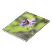 Bloc-note Beautiful moth (Tourné)