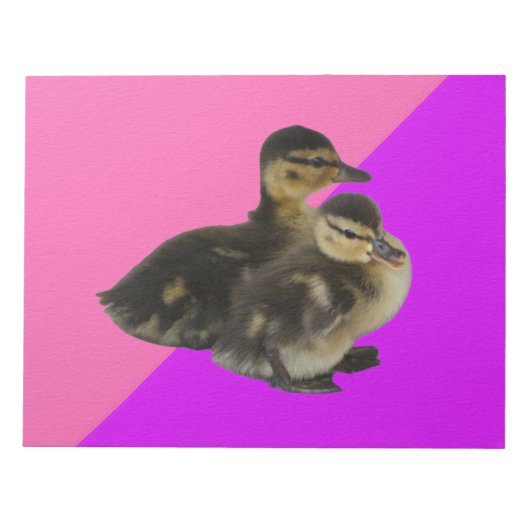 Bloc-note Bébé Canards sur framboise rose et sorbet pourpre (Devant)