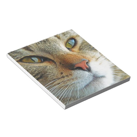 Bloc-note Belle Chat (Incliné)