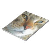 Bloc-note Belle Chat (Tourné)