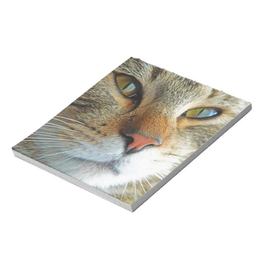 Bloc-note Belle Chat (Tourné)