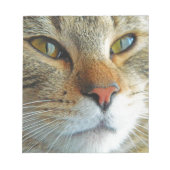 Bloc-note Belle Chat (Devant)