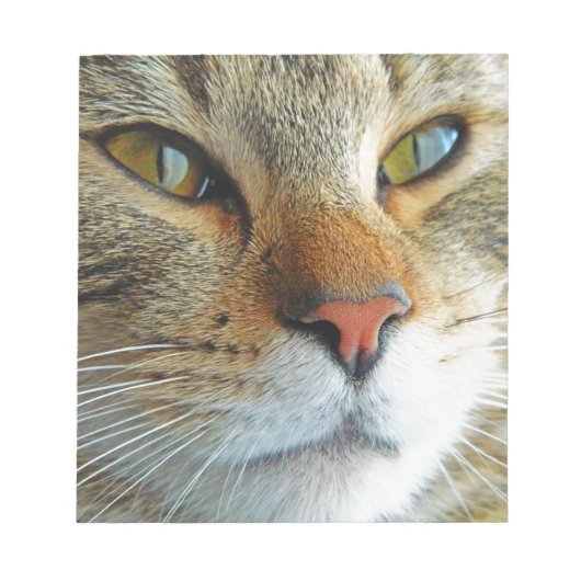 Bloc-note Belle Chat (Devant)