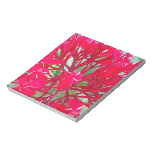 Bloc-note Belle fleur de sang Milkweed Art Imprimer/Graphiqu (Tourné)