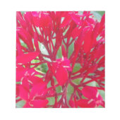 Bloc-note Belle fleur de sang Milkweed Art Imprimer/Graphiqu (Devant)