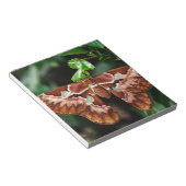 Bloc-note Belle Moth Atlas (Incliné)
