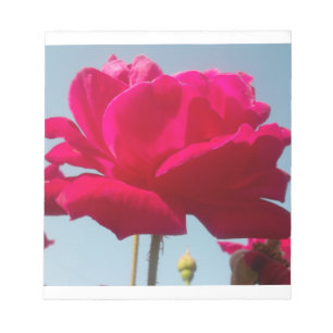 Bloc-note Belle Rose Céleste Rouge Adorable Contre Bleu