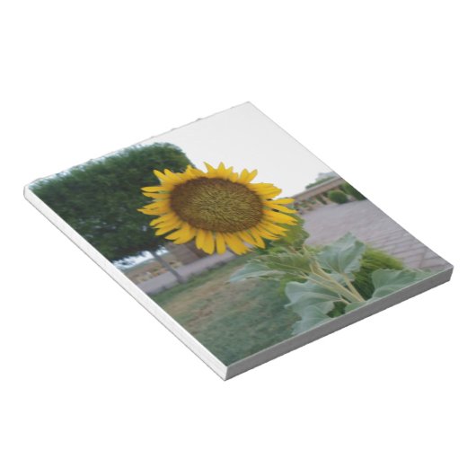 Bloc-note Belle Tournesol Superbe (Incliné)