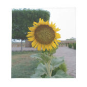 Bloc-note Belle Tournesol Superbe (Devant)
