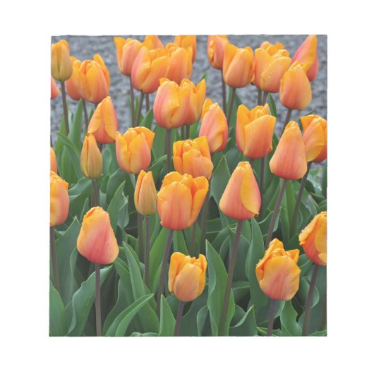 Bloc-note Belle tulipe orange (Devant)