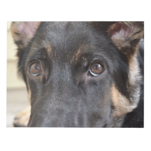 Bloc-note berger allemand par Shirley Taylor