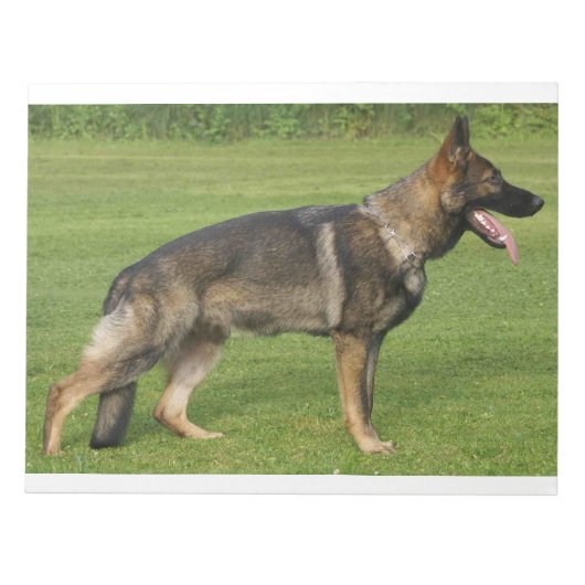 Bloc-note Berger Allemand Sable Complet  (Devant)