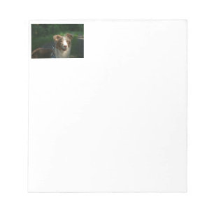 Bloc-note Berger américain miniature Red Merle