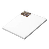 Bloc-note Berger Américain Miniature Rouge Merle Dormir (Tourné)