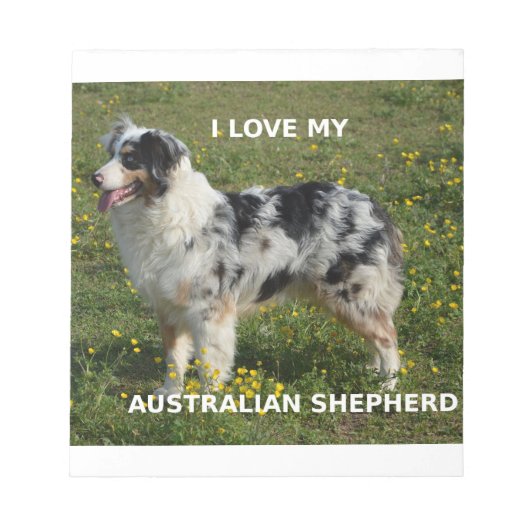 Bloc-note berger australien bleu merle amour w pic (Devant)