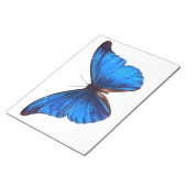 Bloc-note Beurre animal Insect Nature Morpho Bleu Post-it (Incliné)
