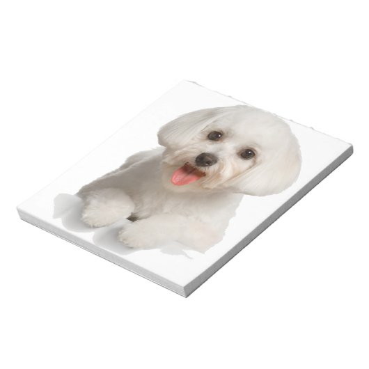 Bloc-note Bichon Frise Puppy (Tourné)