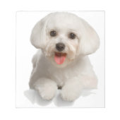 Bloc-note Bichon Frise Puppy (Devant)