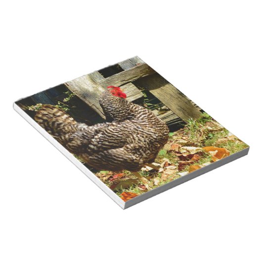 Bloc-note Black and white chicken (Incliné)