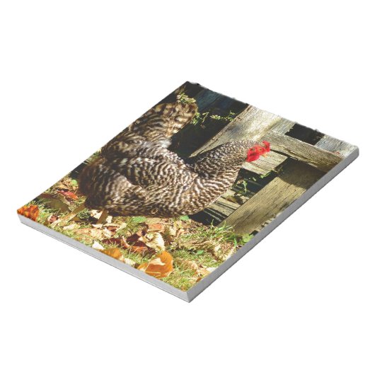 Bloc-note Black and white chicken (Tourné)