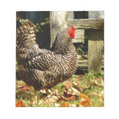 Bloc-note Black and white chicken (Devant)