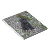 Bloc-note Black Anglais Springer Spaniel (Incliné)