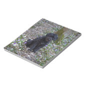 Bloc-note Black Anglais Springer Spaniel (Tourné)