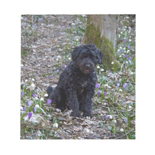Bloc-note Black Anglais Springer Spaniel