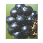 Bloc-note Blackberry (Devant)