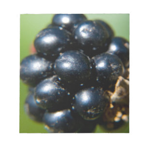 Bloc-note Blackberry