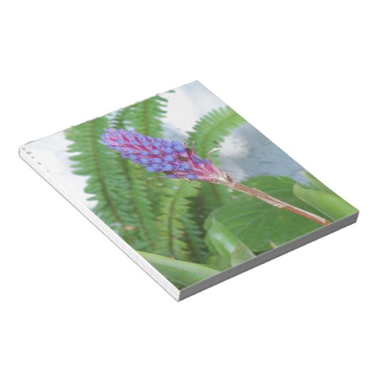Bloc-note Bleu cône fleur bromélique (Incliné)