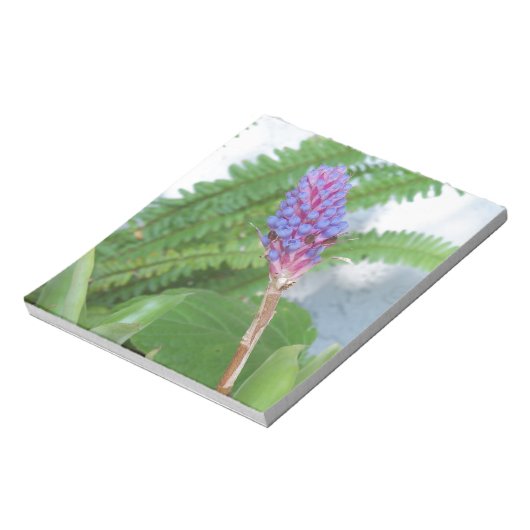 Bloc-note Bleu cône fleur bromélique (Tourné)