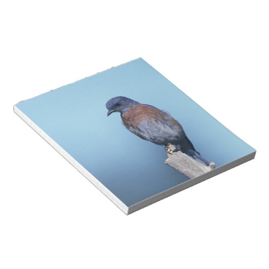 Bloc-note Bleu de l'Ouest (Incliné)