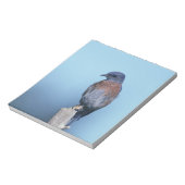 Bloc-note Bleu de l'Ouest (Tourné)