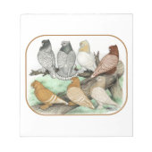 Bloc-note Blondinettes de pigeons de frill classique (Devant)