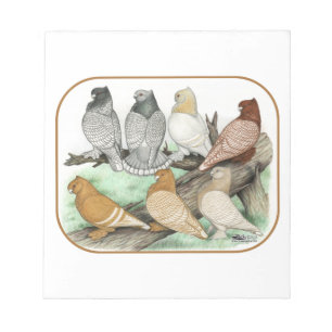 Bloc-note Blondinettes de pigeons de frill classique