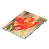 Bloc-note Blossom de la tulipe rouge (Tourné)