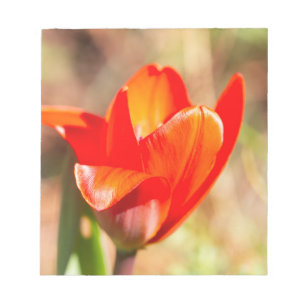 Bloc-note Blossom de la tulipe rouge