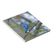 Bloc-note Blue Jay (Incliné)