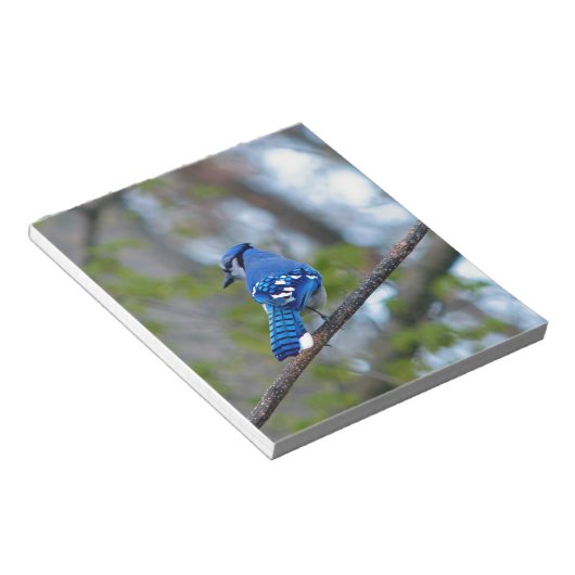 Bloc-note Blue Jay (Incliné)