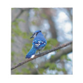 Bloc-note Blue Jay (Devant)